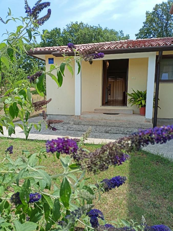Apartment Studio Ta-Ti Umag Zewnętrze zdjęcie